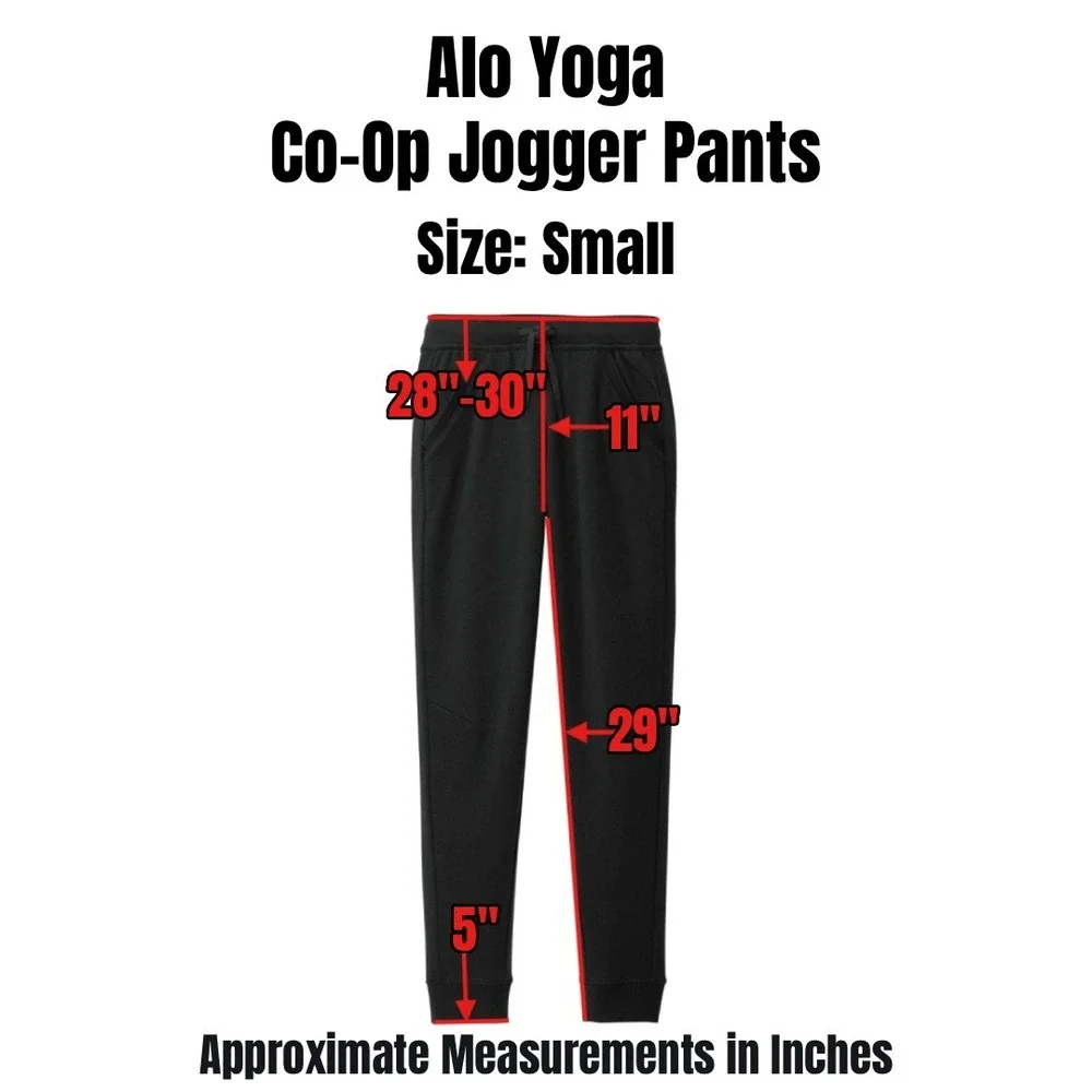 Alo Yoga Co-Op Jogger Pants Mens Small Gray Athleisure Athletic Yoga Training - Picture 2 of 9